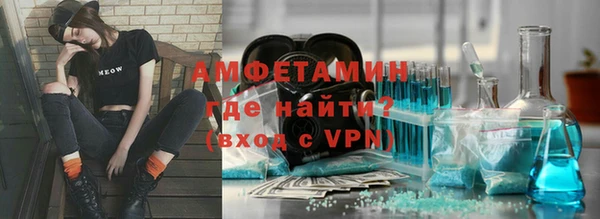 прущие грибы Балахна