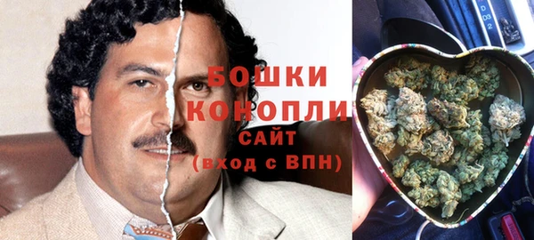 сатива Баксан