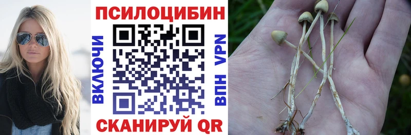 Псилоцибиновые грибы ЛСД  Купить  Славск 